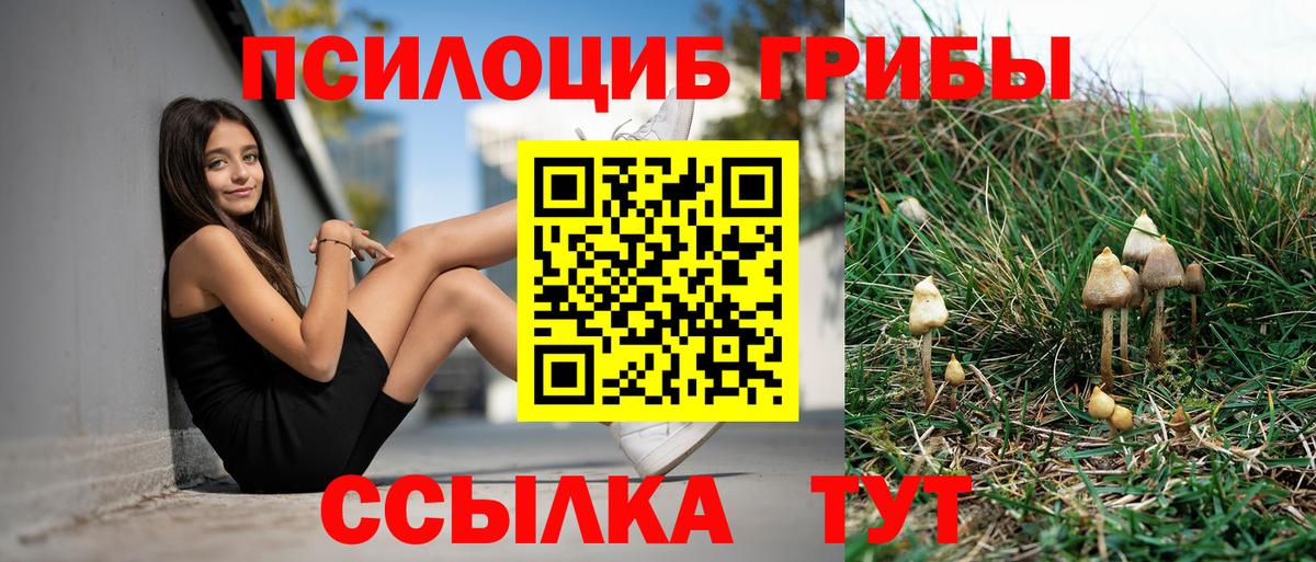 Псилоцибиновые грибы мицелий Острогожск
